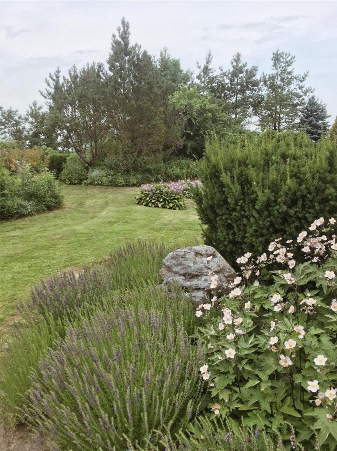 Vila Namelis Atokvepis Ciuineliai Exteriér fotografie